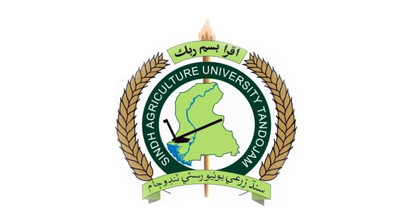  sindh agriculture university contact number